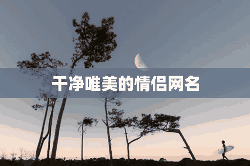 干净唯美的情侣网名(干净唯美的情侣网名两个字)